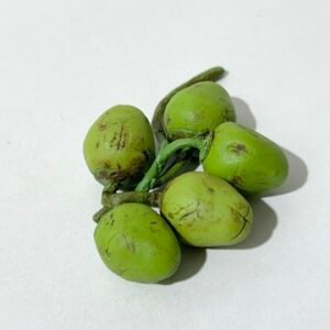 Miniature Coconut for a Dollhouse