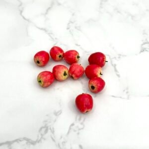 Miniature Apple Fruit(1Pc)